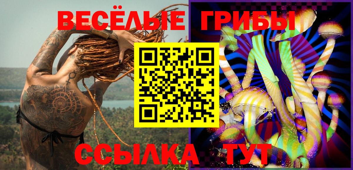 Псилоцибиновые грибы Psilocybe Вязьма