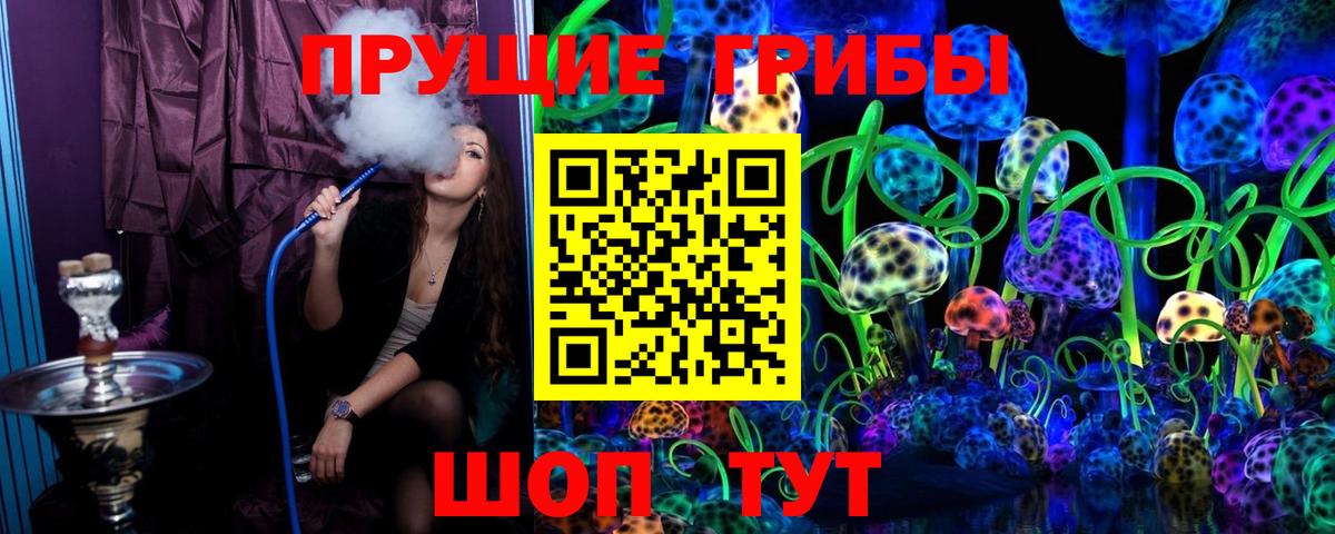 Вязьма  где купить   Вход с VPN  Псилоцибиновые грибы Psilocybe 